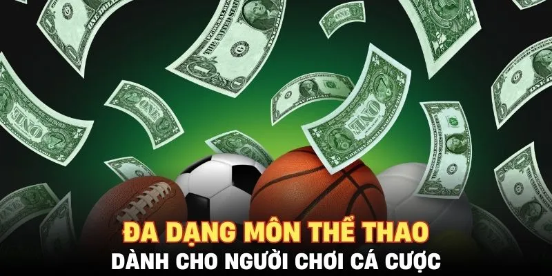 Đa dạng môn thể thao dành cho người chơi cá cược