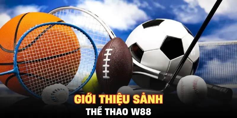Giới thiệu sảnh thể thao W88