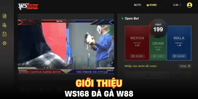 Giới thiệu WS168 đá gà W88