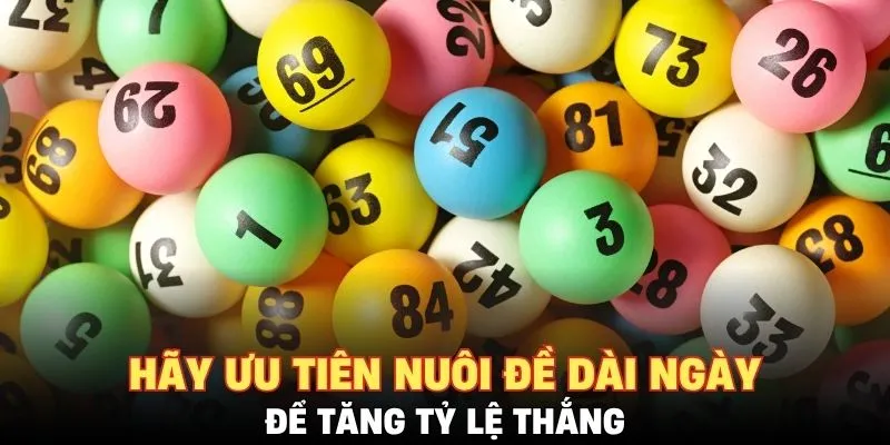 Hãy ưu tiên nuôi đề dài ngày để tăng tỷ lệ thắng