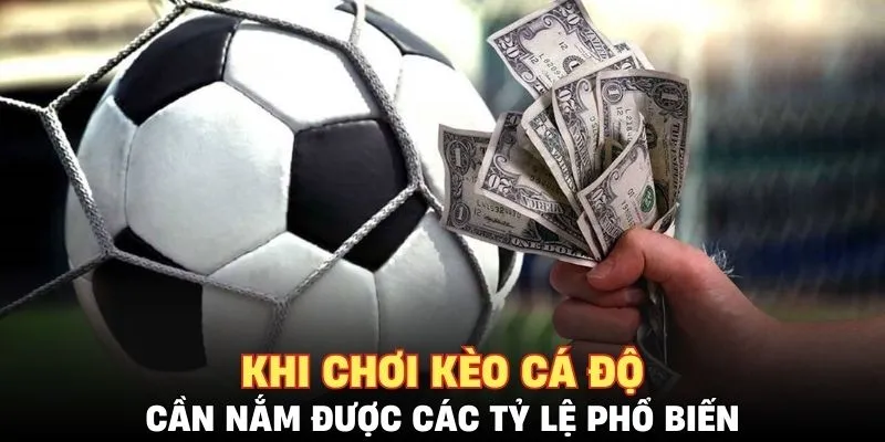 Khi chơi kèo cá độ cần nắm được các tỷ lệ phổ biến