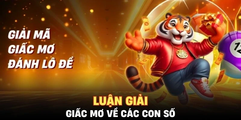 Giải mã giấc mơ gắn liền với các con số liên quan