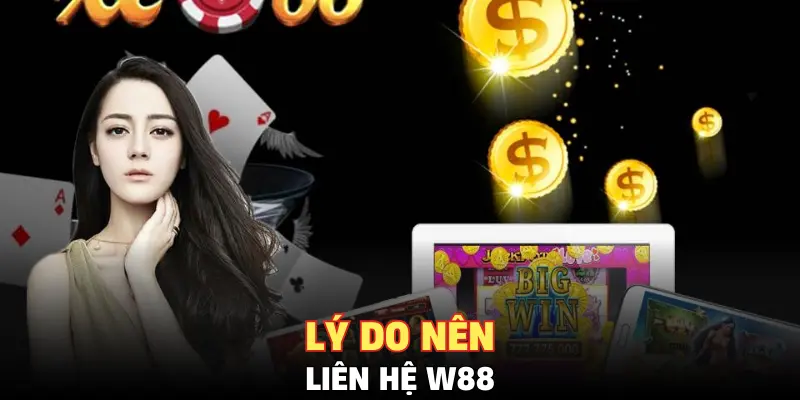 Lý do nên liên hệ W88