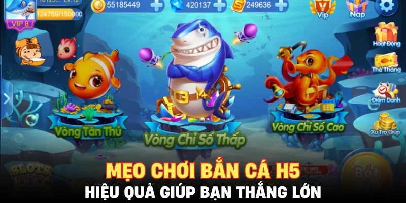Mẹo chơi bắn cá H5 hiệu quả giúp bạn thắng lớn