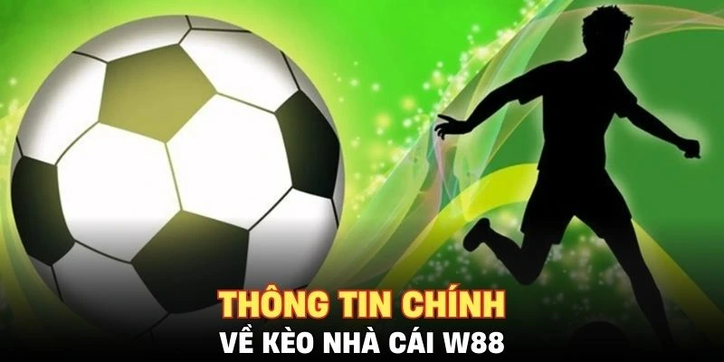 Những thông tin chính về kèo nhà cái cho bạn đọc