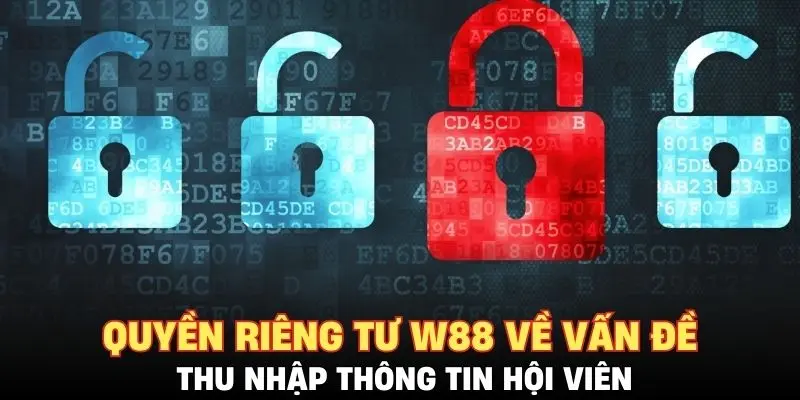 Quyền riêng tư W88 về vấn đề thu nhập thông tin hội viên