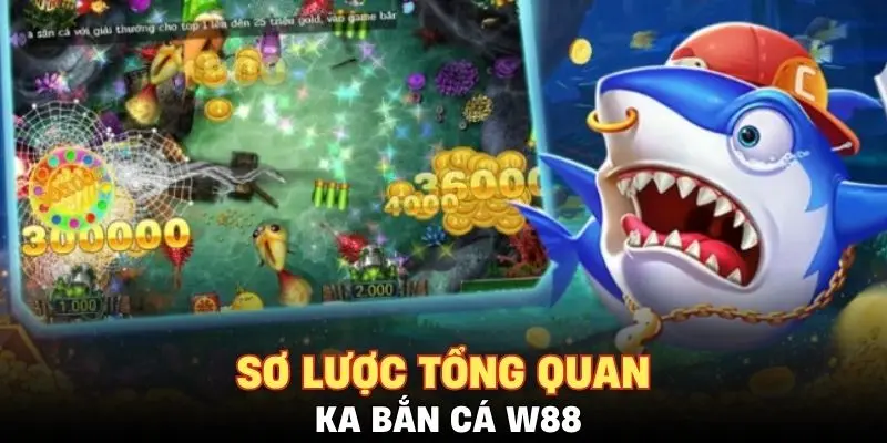 Sơ lược tổng quan KA bắn cá W88