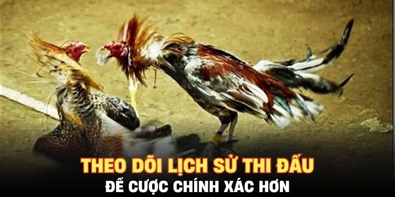 Tích cực xem chọi gà giúp bạn tăng trình độ cá cược