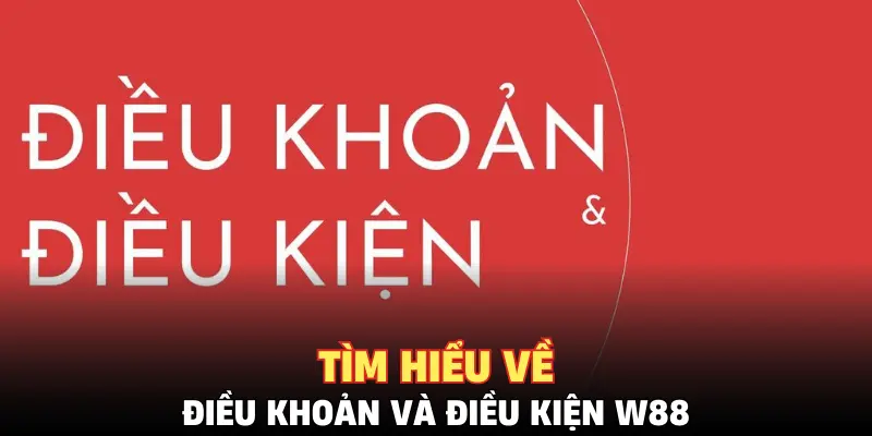 Tìm hiểu về điều khoản và điều kiện W88