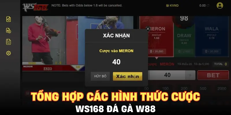 Tổng hợp các hình thức cược WS168 đá gà W88
