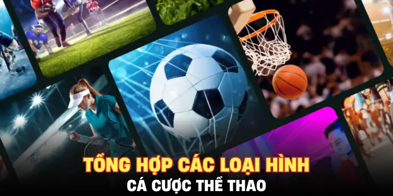 Tổng hợp các loại hình cá cược thể thao