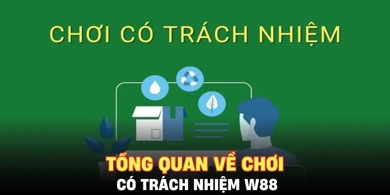 Tổng quan về chơi có trách nhiệm W88