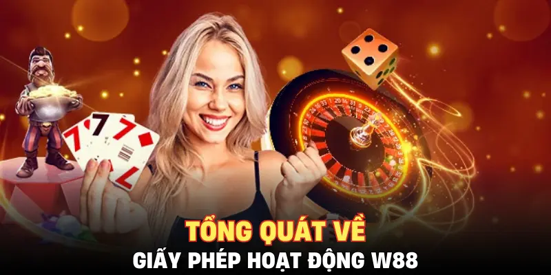 Tổng quát về giấy phép hoạt động W88